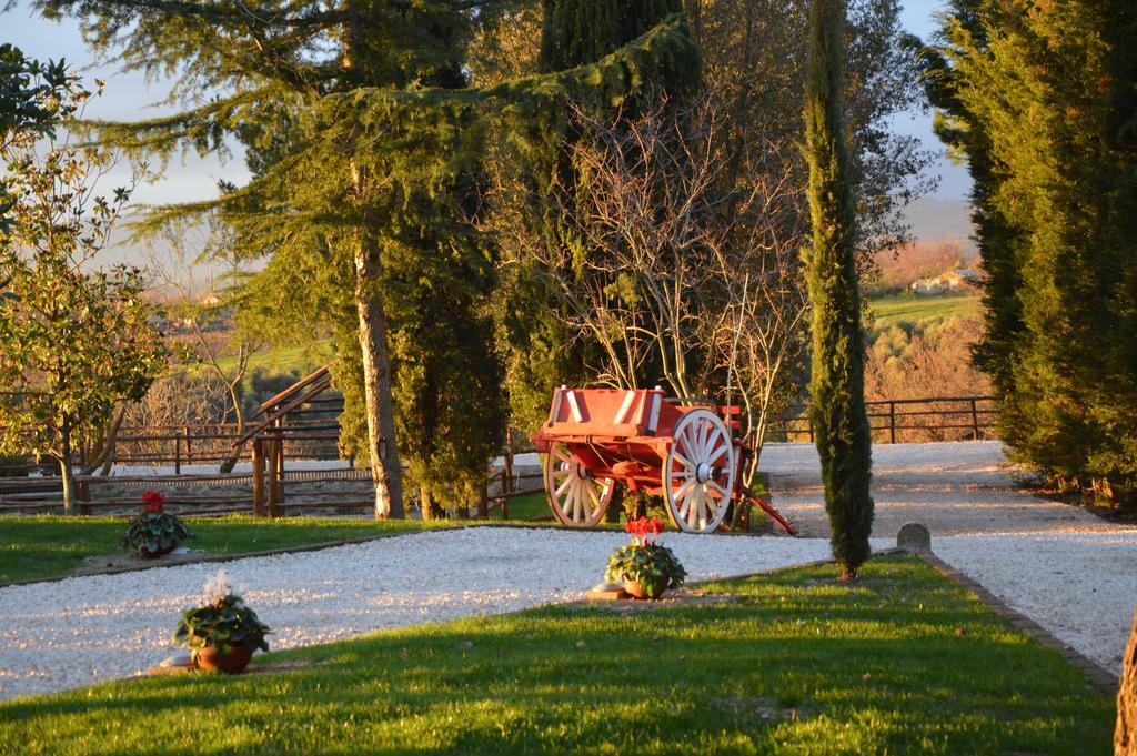 Agriturismo La Collina Pitigliano Chambre photo
