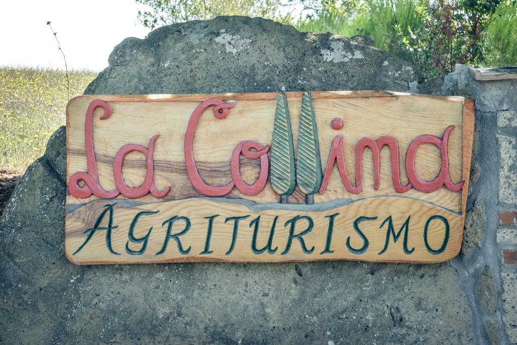 Agriturismo La Collina Pitigliano Extérieur photo